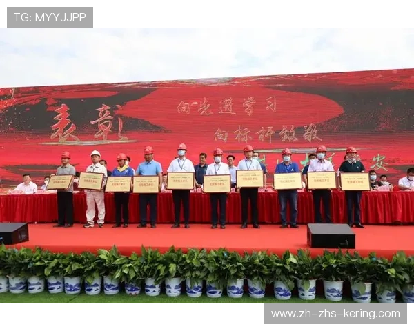 球迷行为研究项目阶段性成果反馈，赛场氛围优化建议实施